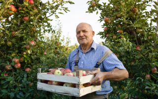 L’été est la saison idéale pour se régaler des fruits que nous procure la nature