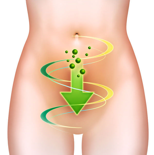 Prébiotiques probiotiques