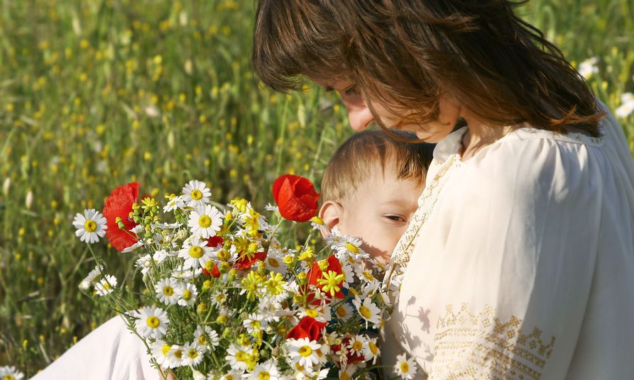 3061941 – mother feeding in flowers